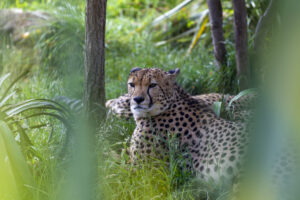 CD8I0476_1